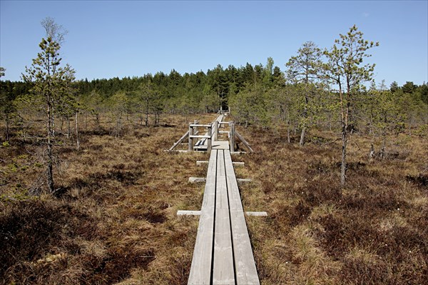 140-Национальныи парк Кемери